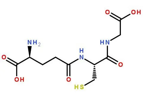 Glutathione Glutathione